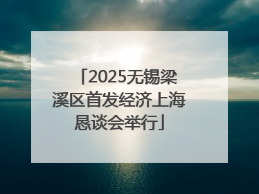 2025无锡梁溪区首发经济上海恳谈会举行