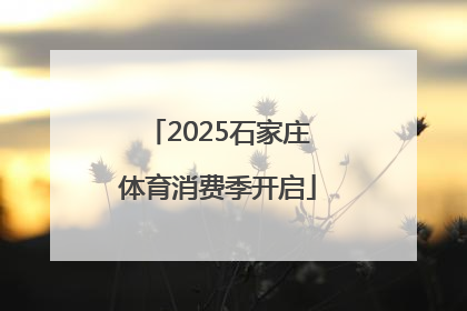 2025石家庄体育消费季开启