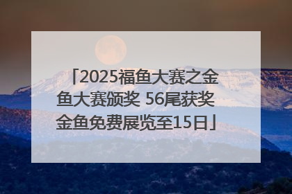 2025福鱼大赛之金鱼大赛颁奖 56尾获奖金鱼免费展览至15日