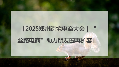 2025郑州跨境电商大会｜“丝路电商”助力朋友圈再扩容