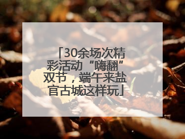 30余场次精彩活动“嗨翻”双节，端午来盐官古城这样玩