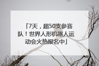 7天，超50支参赛队！世界人形机器人运动会火热报名中