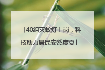 40组灭蚊灯上岗，科技助力居民安然度夏
