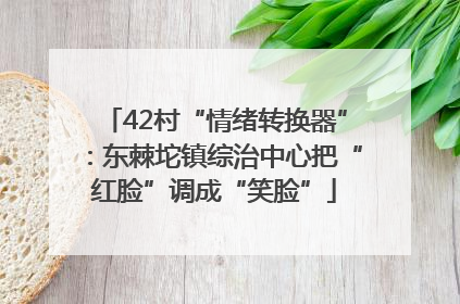 42村“情绪转换器”：东棘坨镇综治中心把“红脸”调成“笑脸”