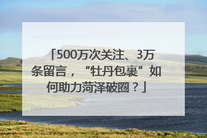 500万次关注、3万条留言，“牡丹包裹”如何助力菏泽破圈？