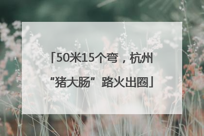 50米15个弯，杭州“猪大肠”路火出圈