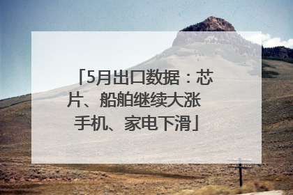 5月出口数据：芯片、船舶继续大涨 手机、家电下滑