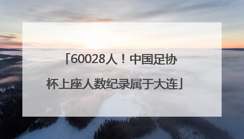 60028人！中国足协杯上座人数纪录属于大连