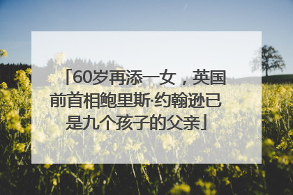 60岁再添一女，英国前首相鲍里斯·约翰逊已是九个孩子的父亲