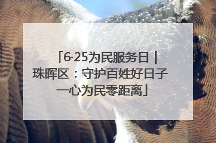 6·25为民服务日｜珠晖区：守护百姓好日子 一心为民零距离