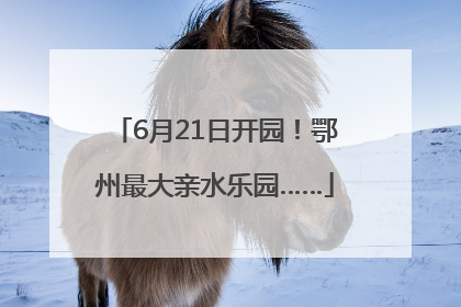 6月21日开园！鄂州最大亲水乐园……