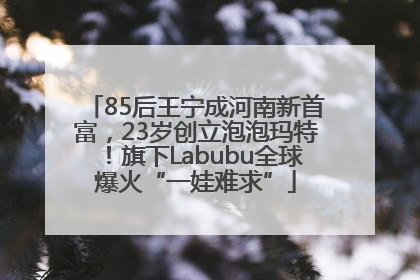 85后王宁成河南新首富，23岁创立泡泡玛特！旗下Labubu全球爆火“一娃难求”