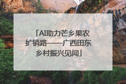 AI助力芒乡果农扩销路——广西田东乡村振兴见闻