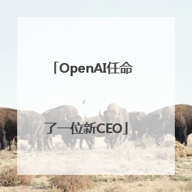 OpenAI任命了一位新CEO