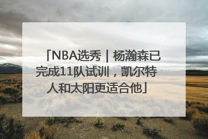 NBA选秀｜杨瀚森已完成11队试训，凯尔特人和太阳更适合他