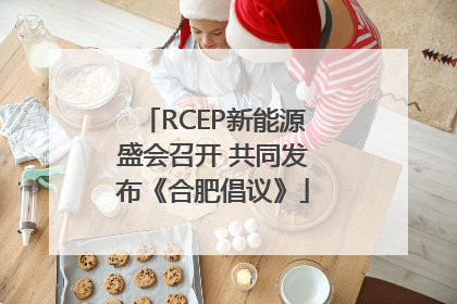 RCEP新能源盛会召开 共同发布《合肥倡议》